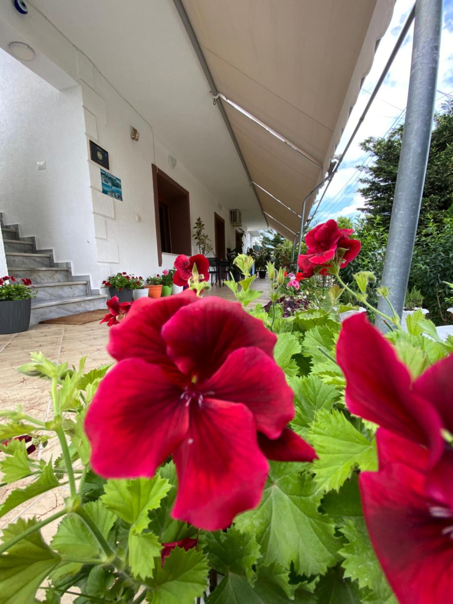 Renato Appartement
