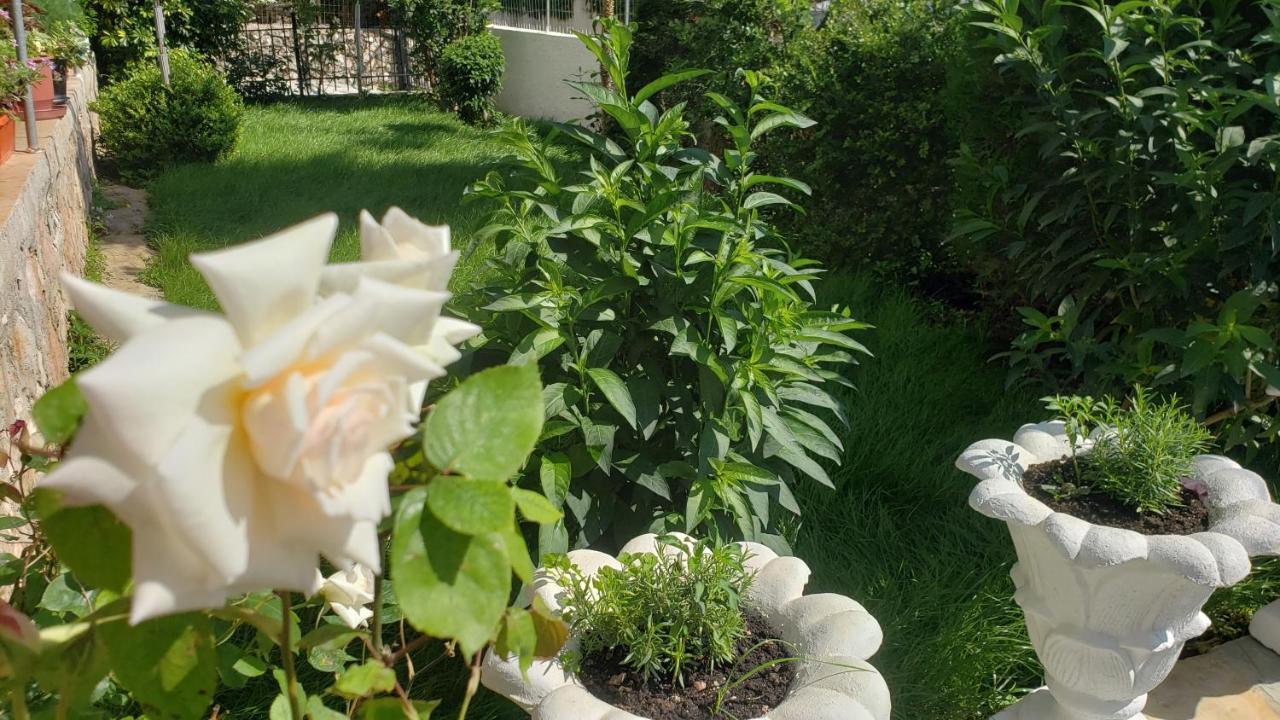 Apartament Renato Ksamil