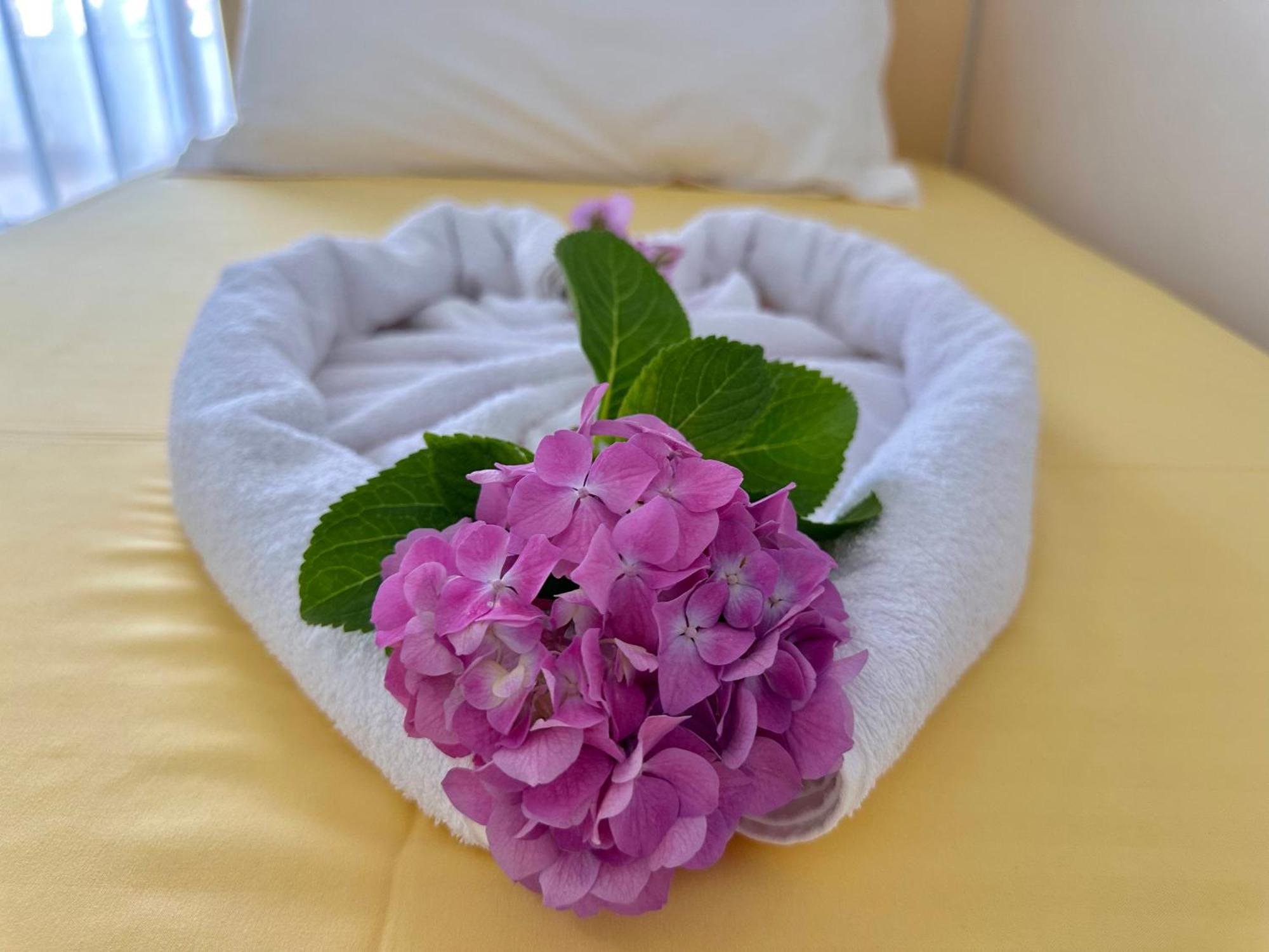 Renato Apartament